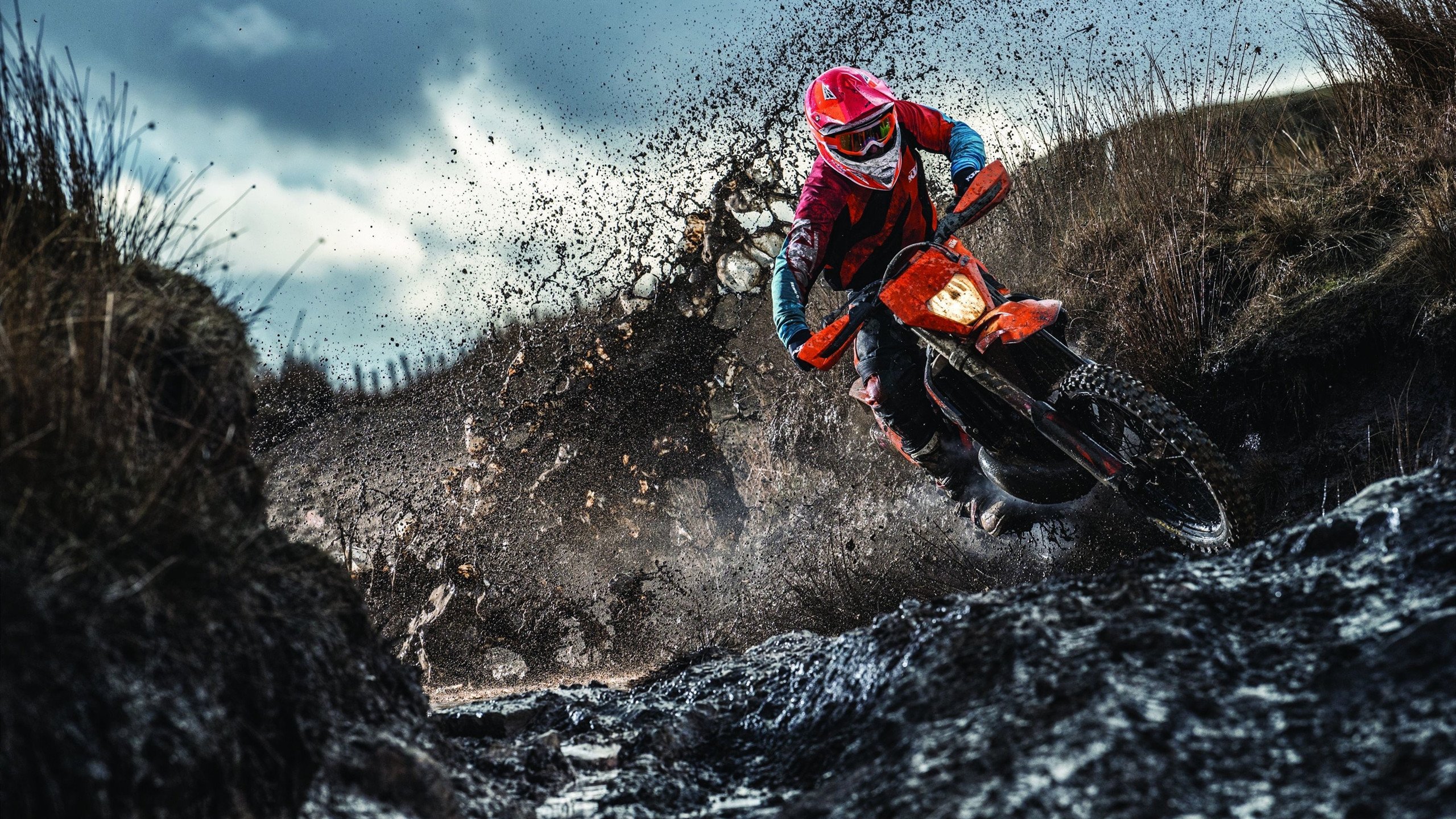 青训效果显著：球队本土培养的明星球员崭露头角，青训选拔喜欢那种球员